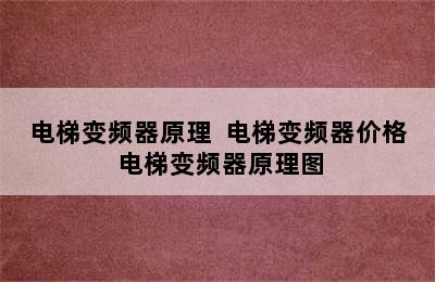 电梯变频器原理  电梯变频器价格 电梯变频器原理图